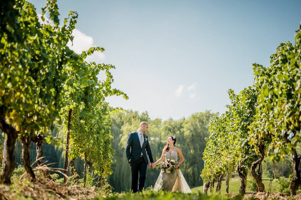 Wine country wedding