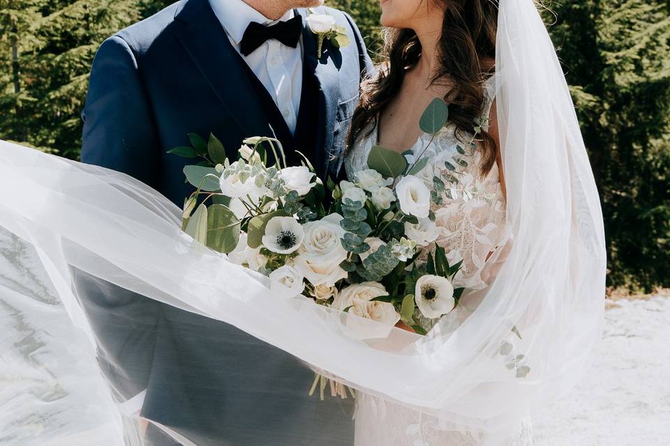 Sea to Sky Gondola Wedding