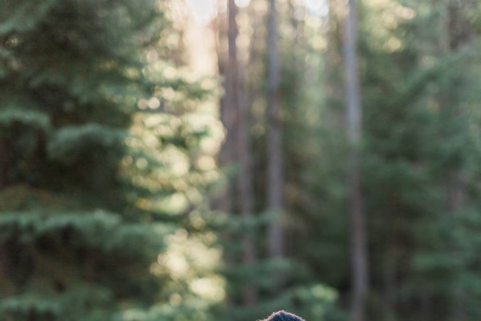 Mountain engagement session