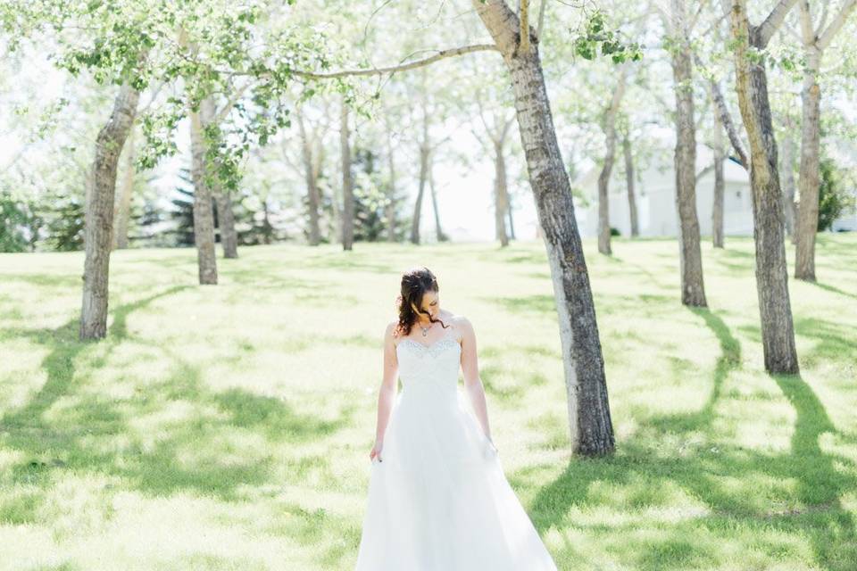 Summer Wedding in Alberta