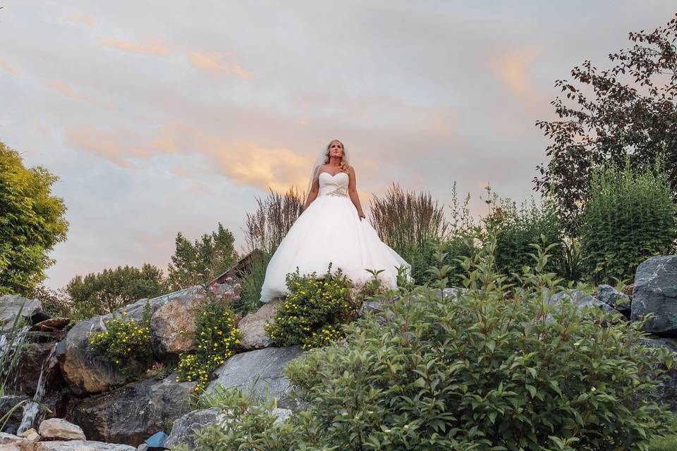 August Wedding, Calgary