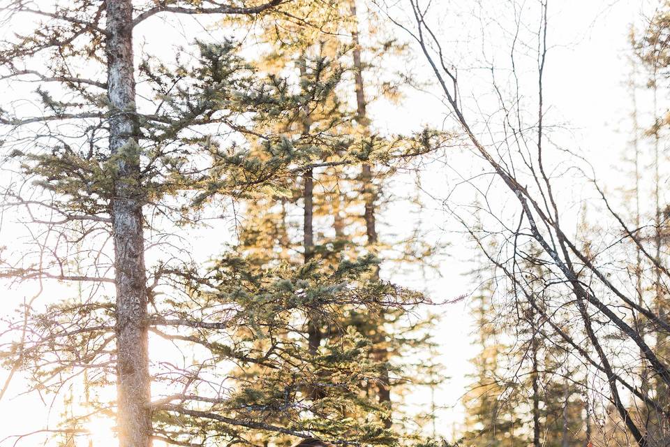 Winter Wedding, Calgary