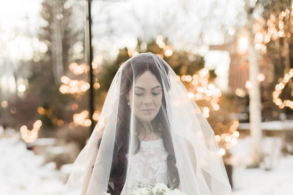 Winter bride