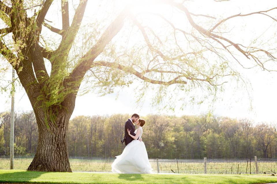 Avenue Photo - Toronto Wedding