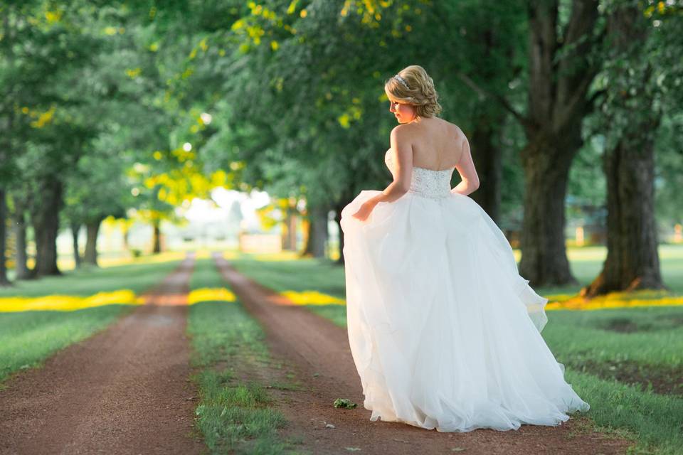 Avenue Photo - Toronto Wedding