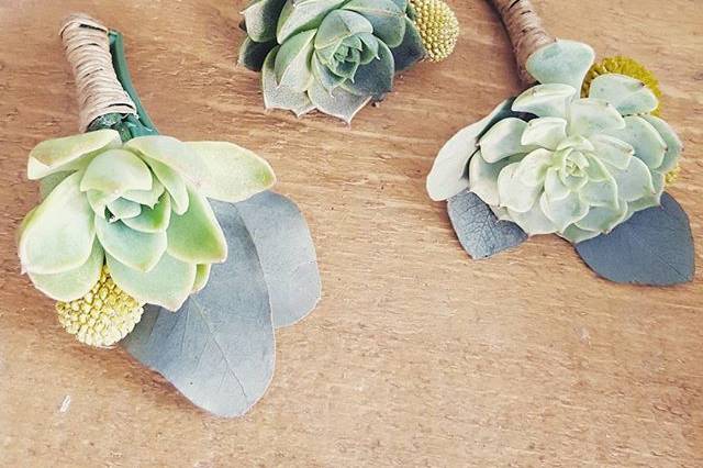 Succulent Boutonniere