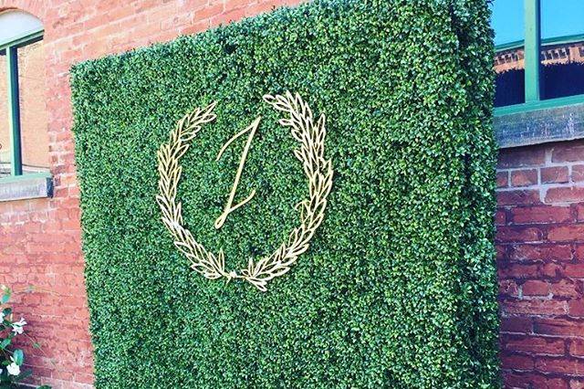 Boxwood wall