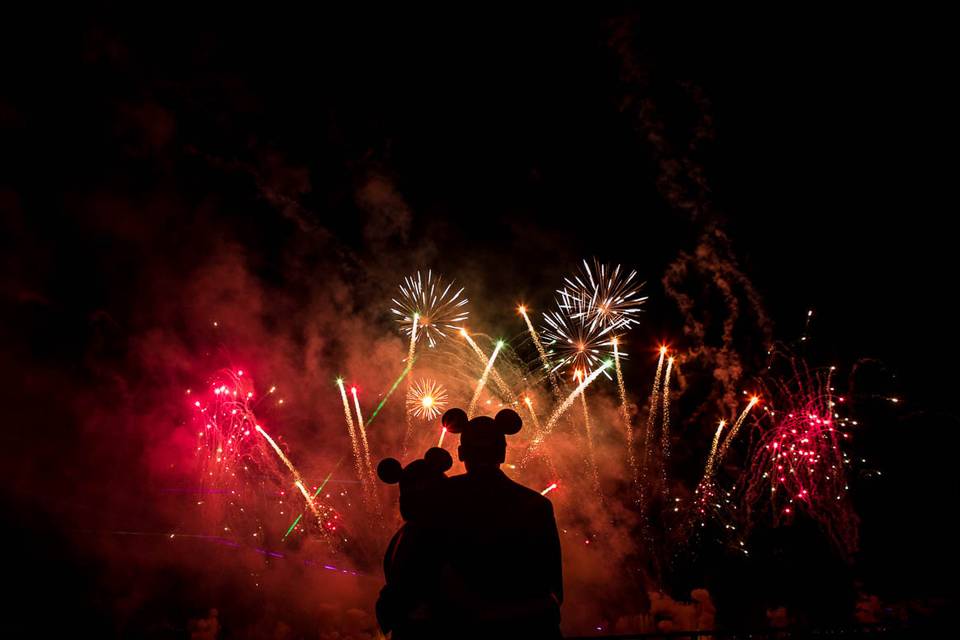 Disneyworld wedding