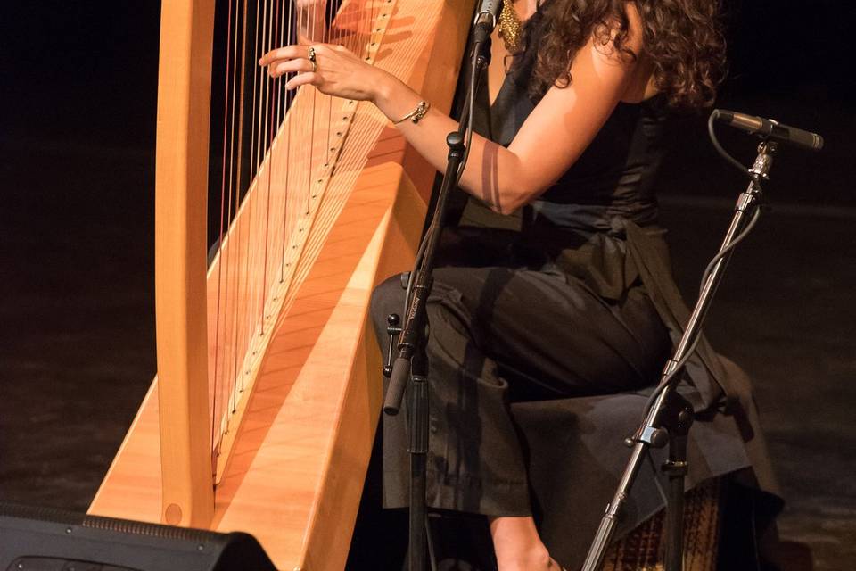 Kamila_Celtic Harp