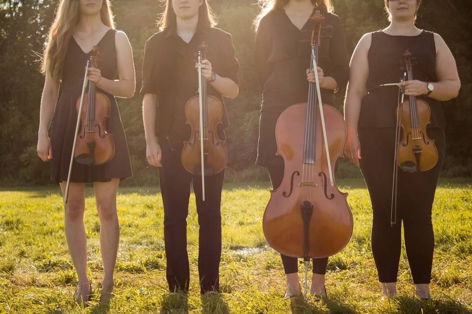 String Quartet