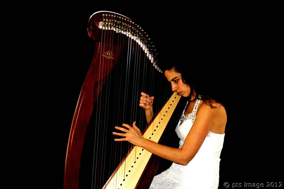 Kamila Harpist in Montreal