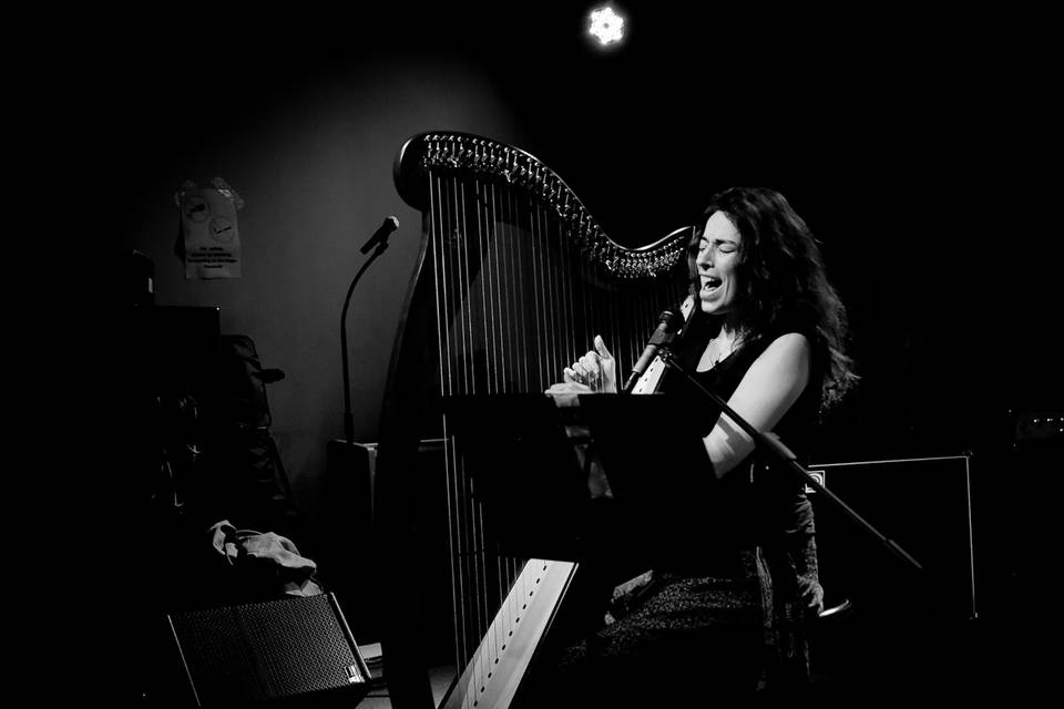 Kamila Vox and harp