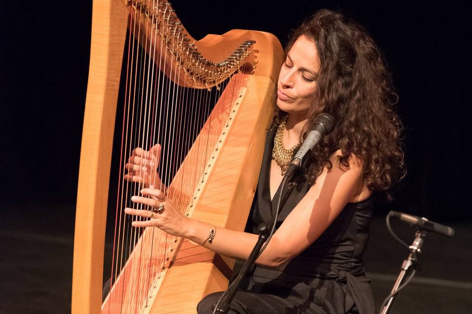 Celtic Harp