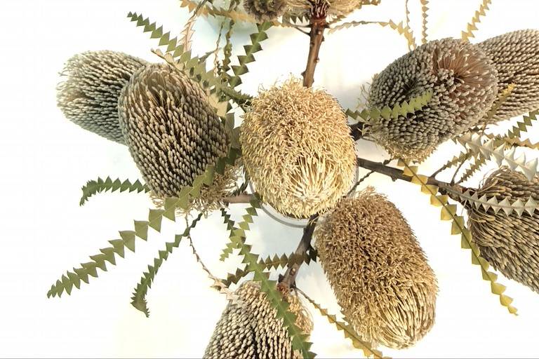 Banksia, eremurus and alliums
