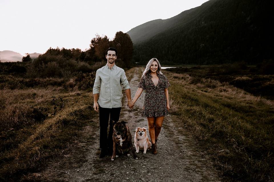 Engagement Pitt Lake Dogs