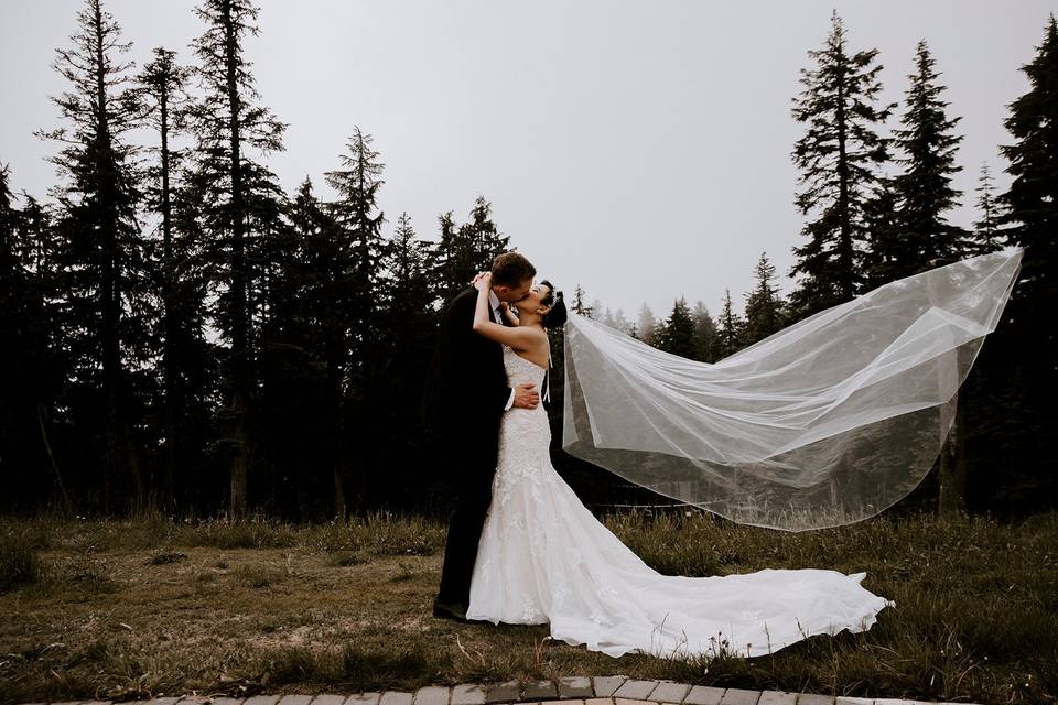Wedding Grouse Mountain Veil