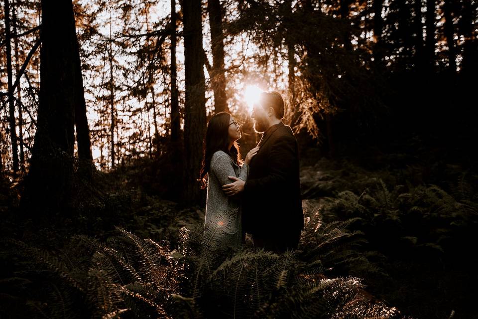 Forest Engagement Sunset
