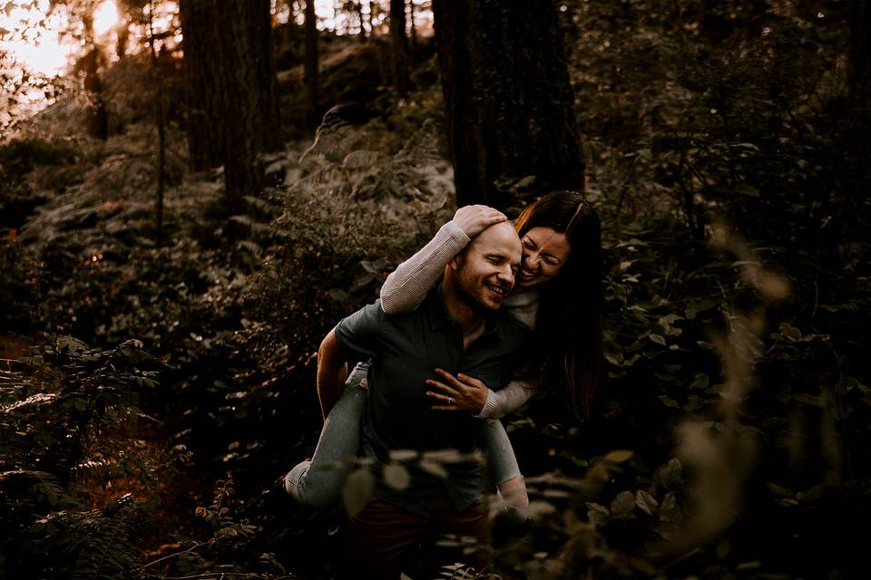 Forest Engagement Session