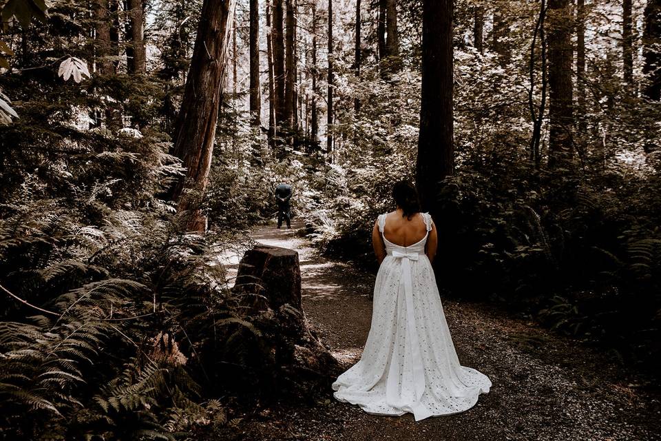 Vancouver Wedding Forest