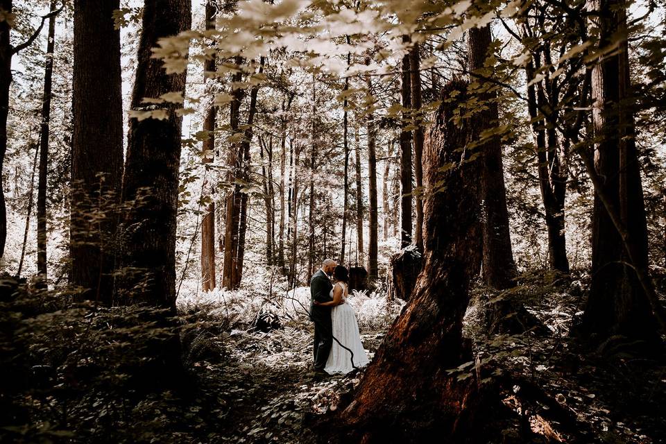 Vancouver Wedding Forest