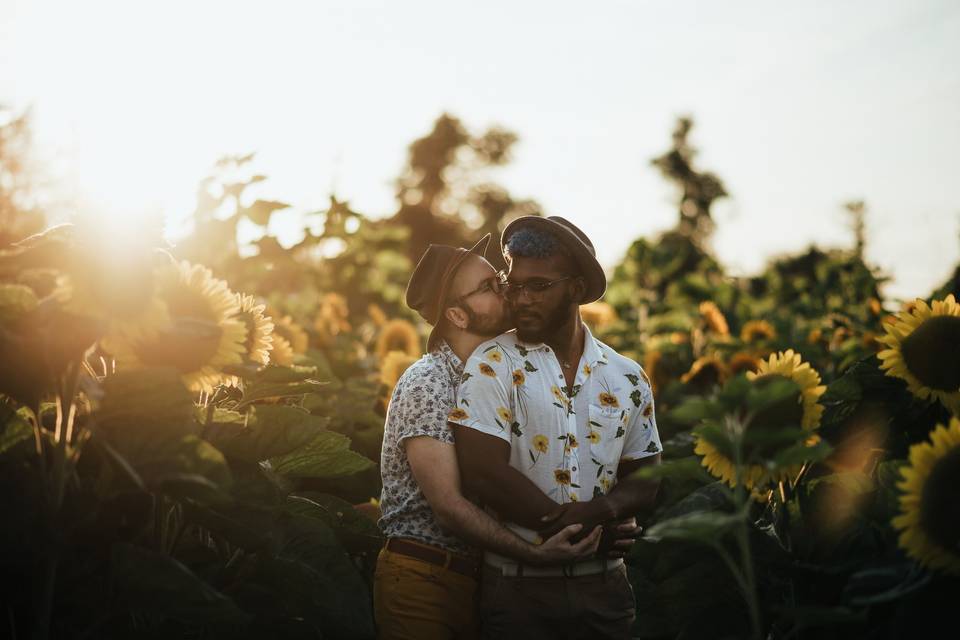 Abbotsford Sunflower Festival