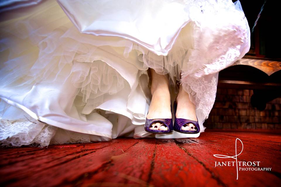 Janet Trost Photography 3.jpg