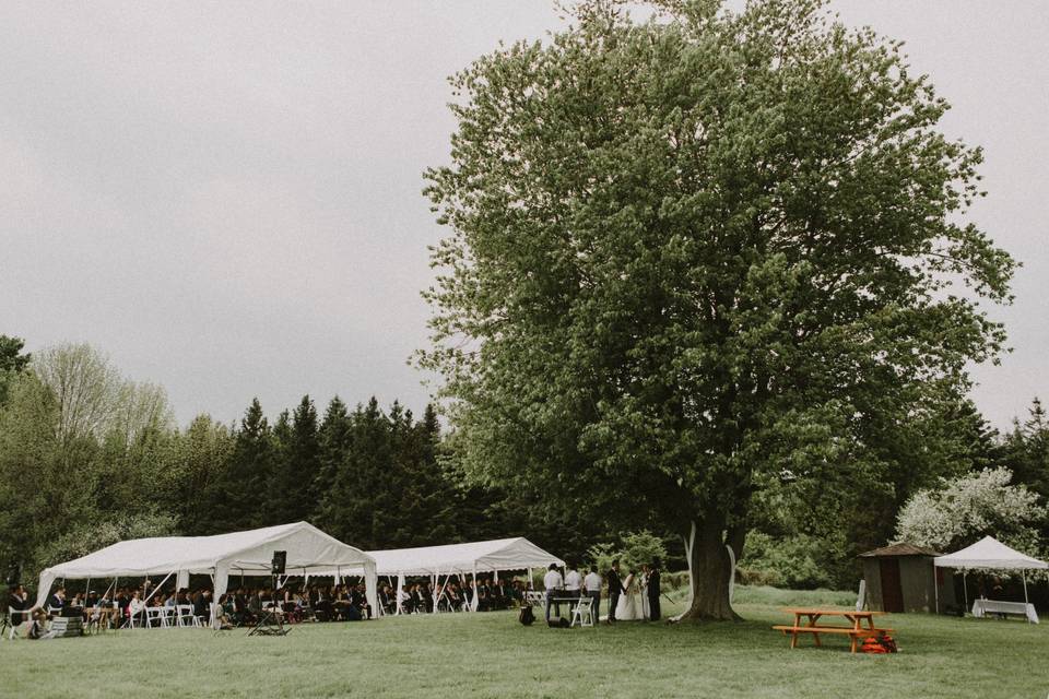 Tented Ceremonies