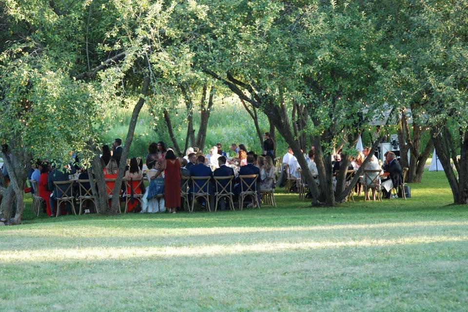 Outdoor Reception Dinner