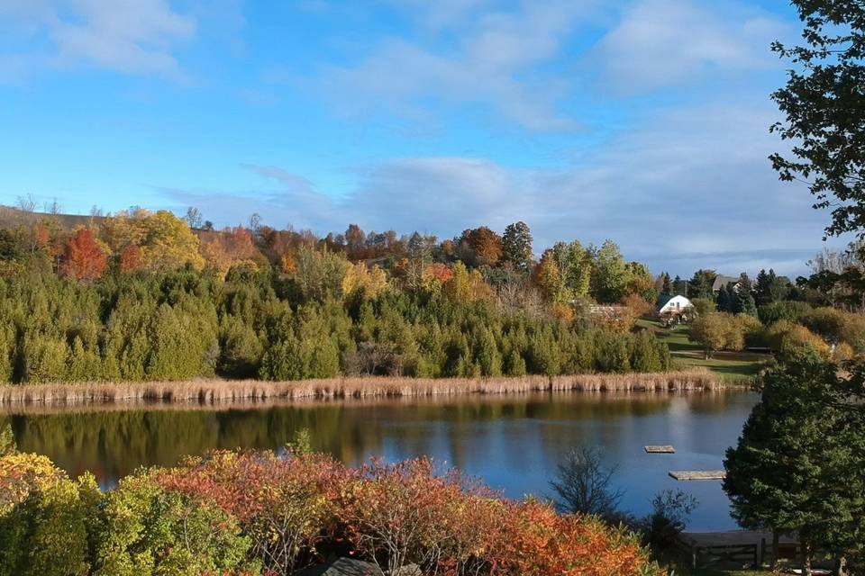 View from the Lakeside Meadow