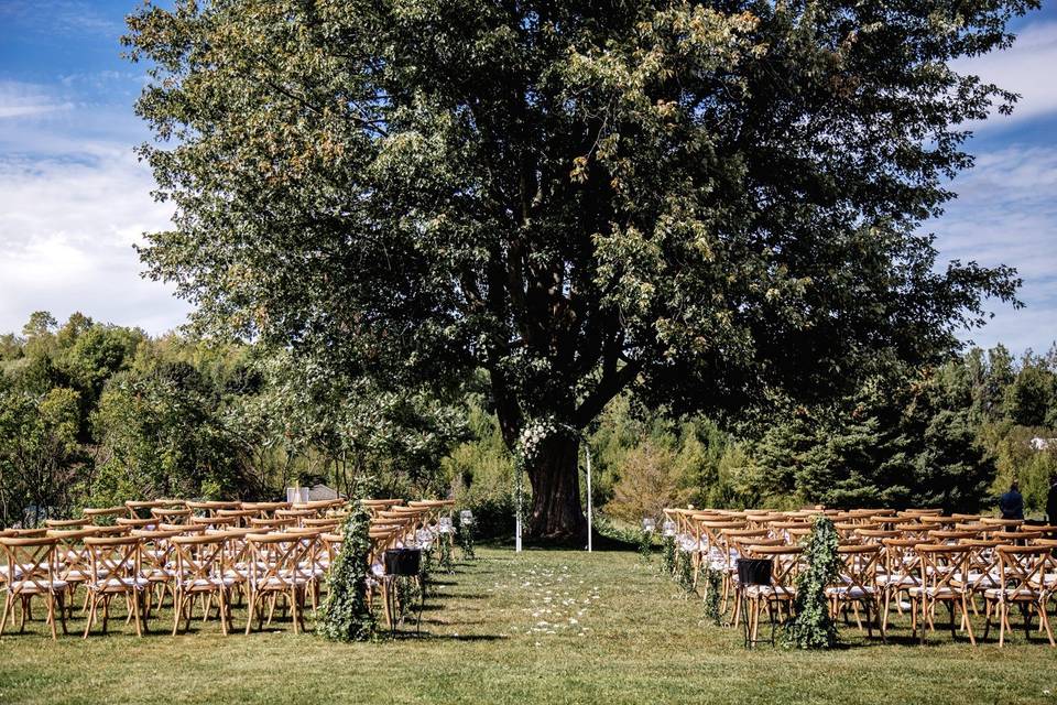 Wedding ceremony setup