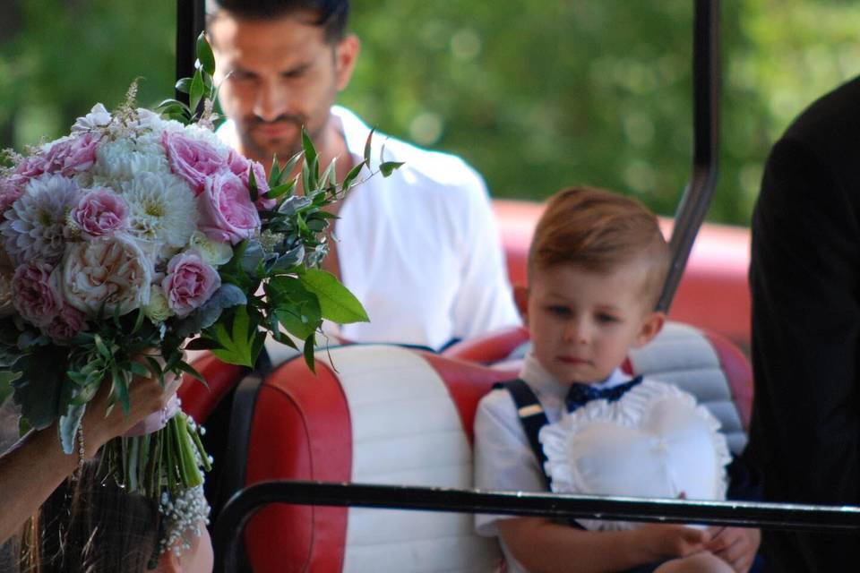 Ring Bearer