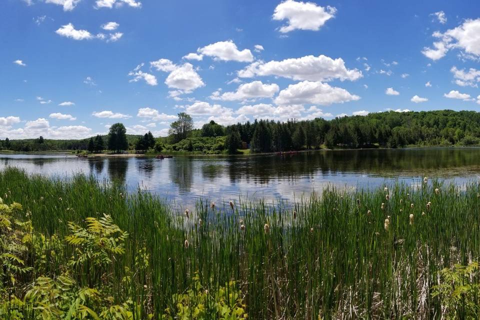 Walk to the Lakeside Meadow