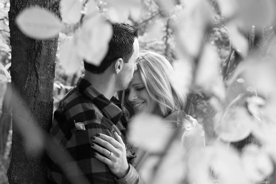 Birch and Lace Weddings