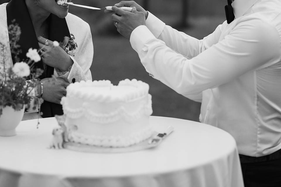 Cake cutting