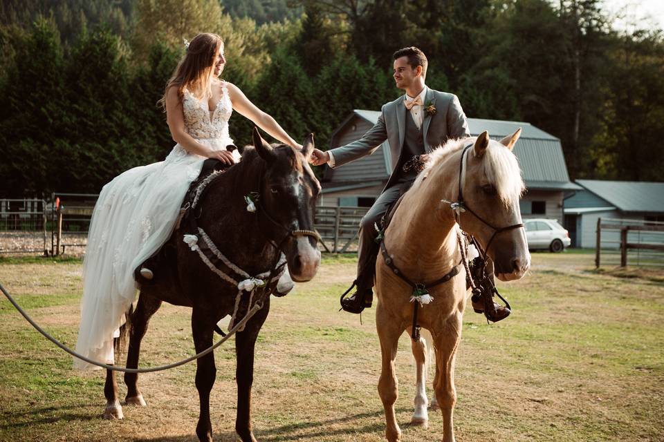 Horseback wedding entrance