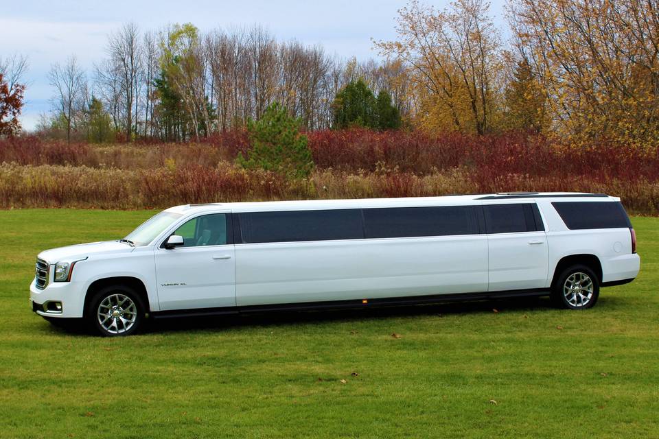 First Glance Limousine Service Ltd.