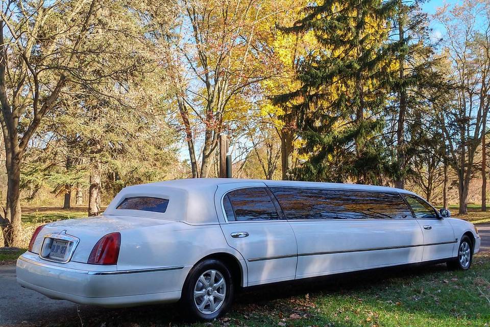 First Glance Limousine Service Ltd.