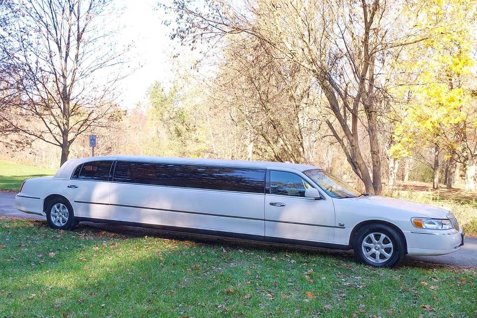 First Glance Limousine Service Ltd.