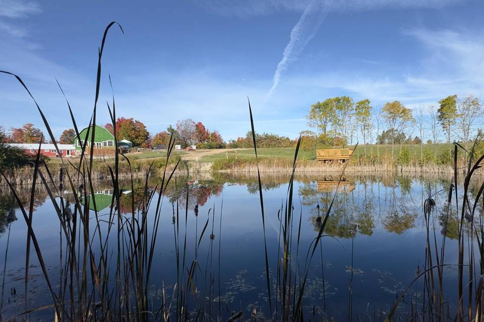 Pond view and deck