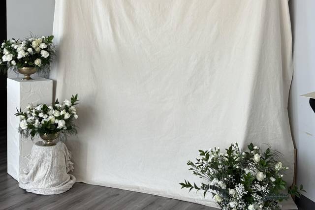 Photo Backdrop