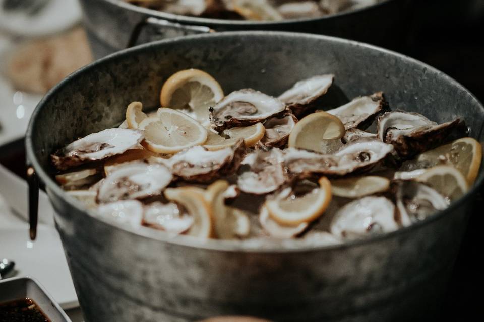 Aquatopia Oysters