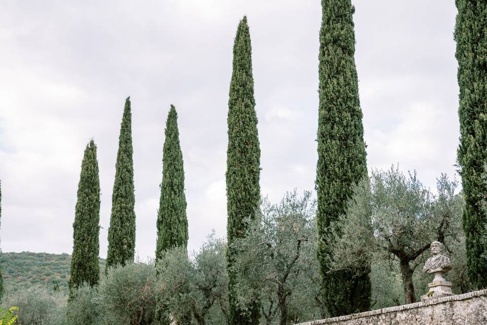 Tuscan Wedding