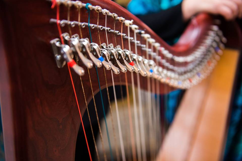 Susan Toman, harp