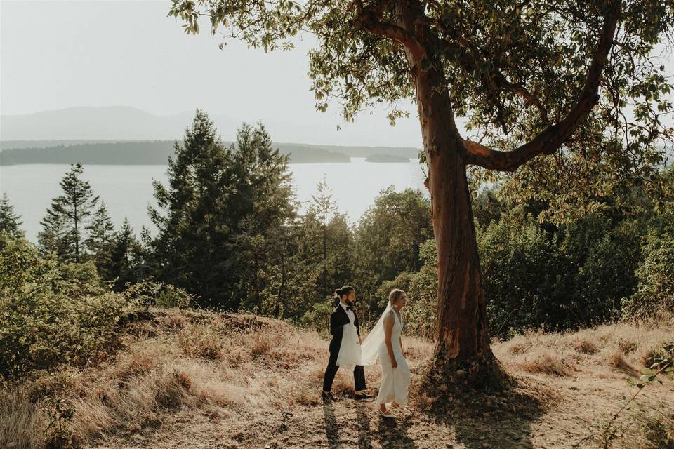 Arbutus with ocean Backdrop