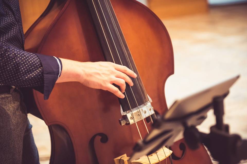 The sound of the upright bass
