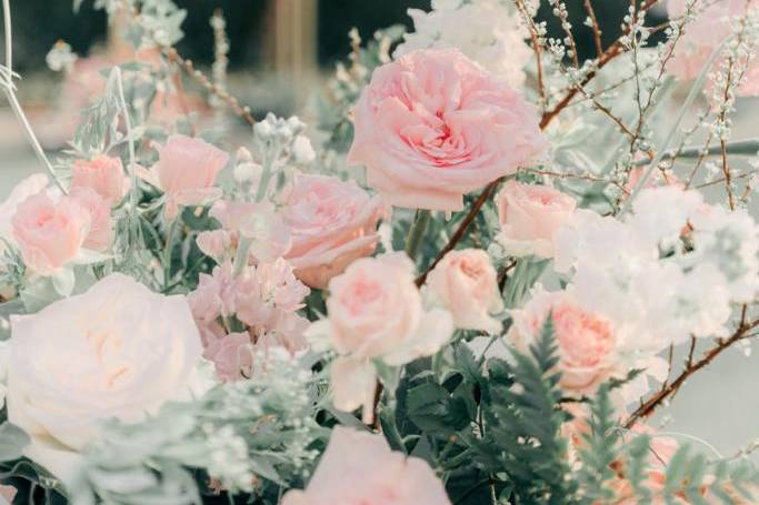 Kakazan Floristry