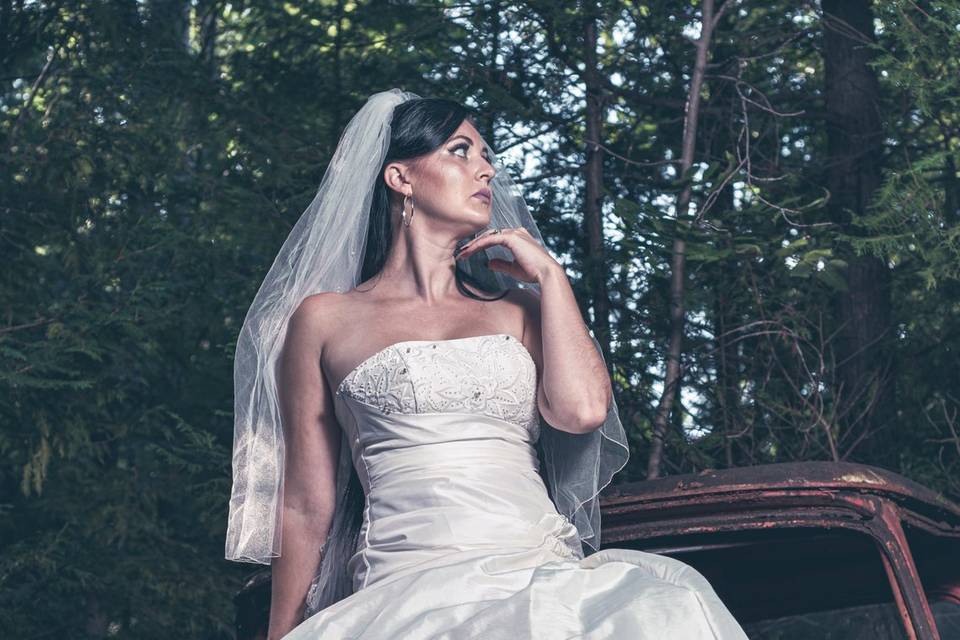 Trash the Dress!