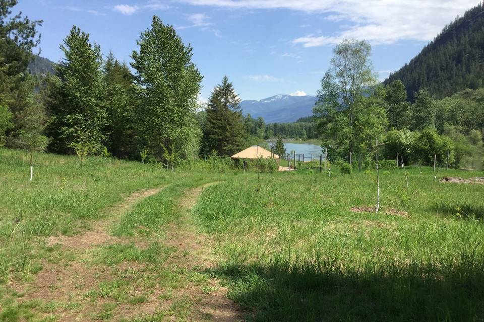 Approaching yurt