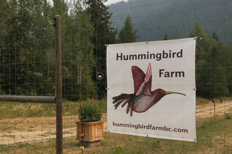 Hummingbird Farm