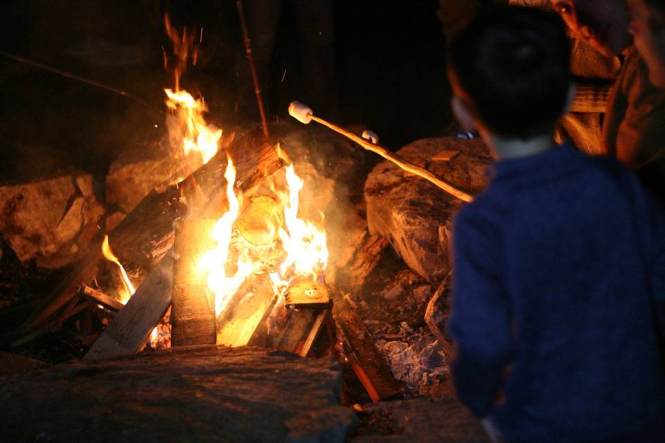 Fall Campfire with S'mores